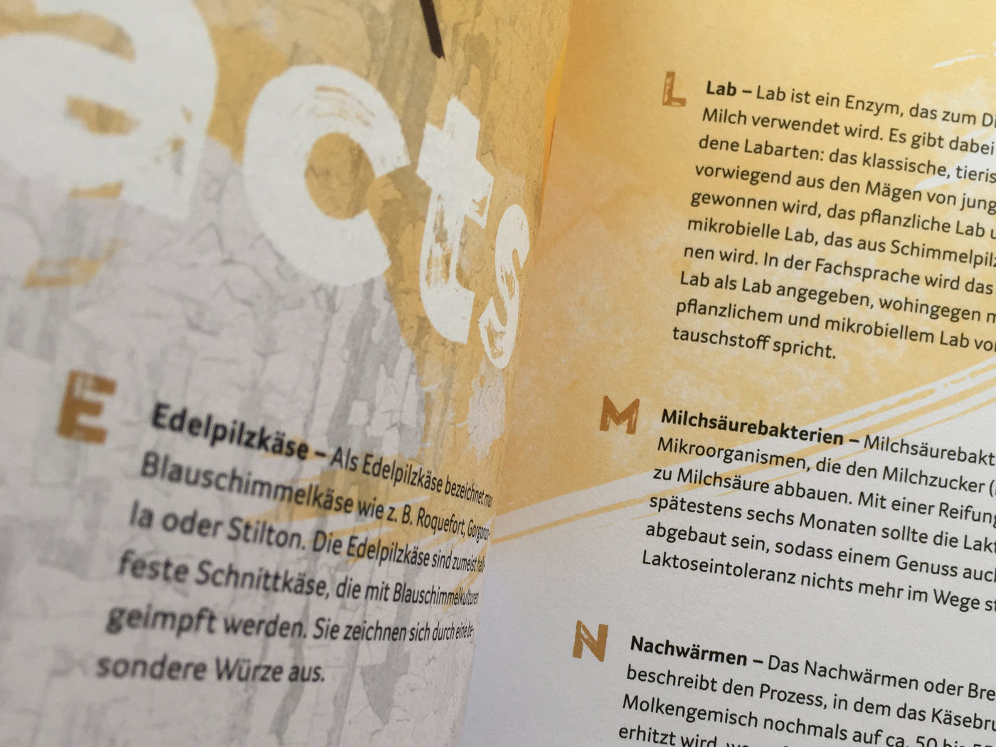Fonts In Use Trans Gourmet Kaese Magazin Milk Design 10 Cera Brush