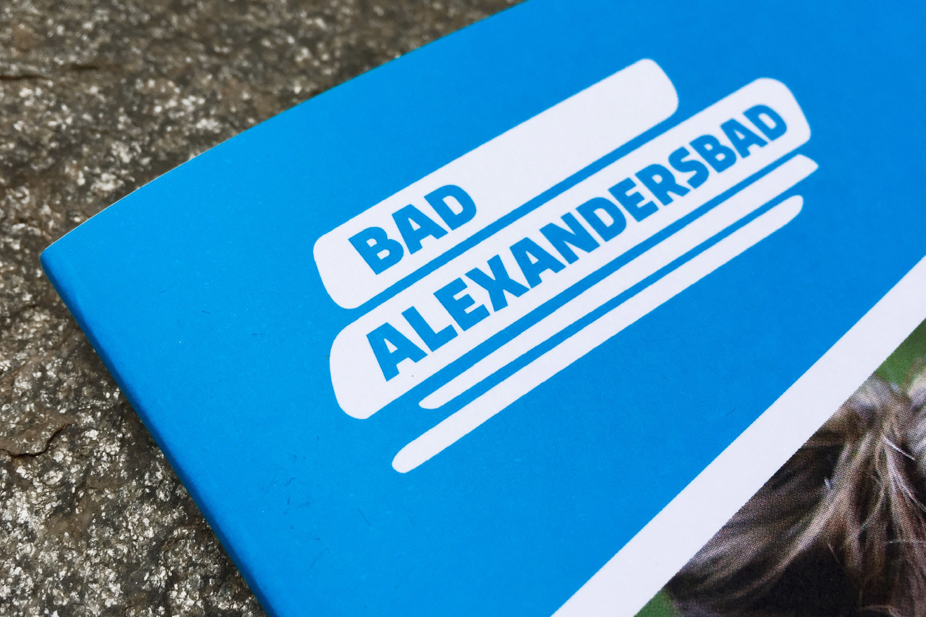 typemates new identity for bad alexandersbad new identity