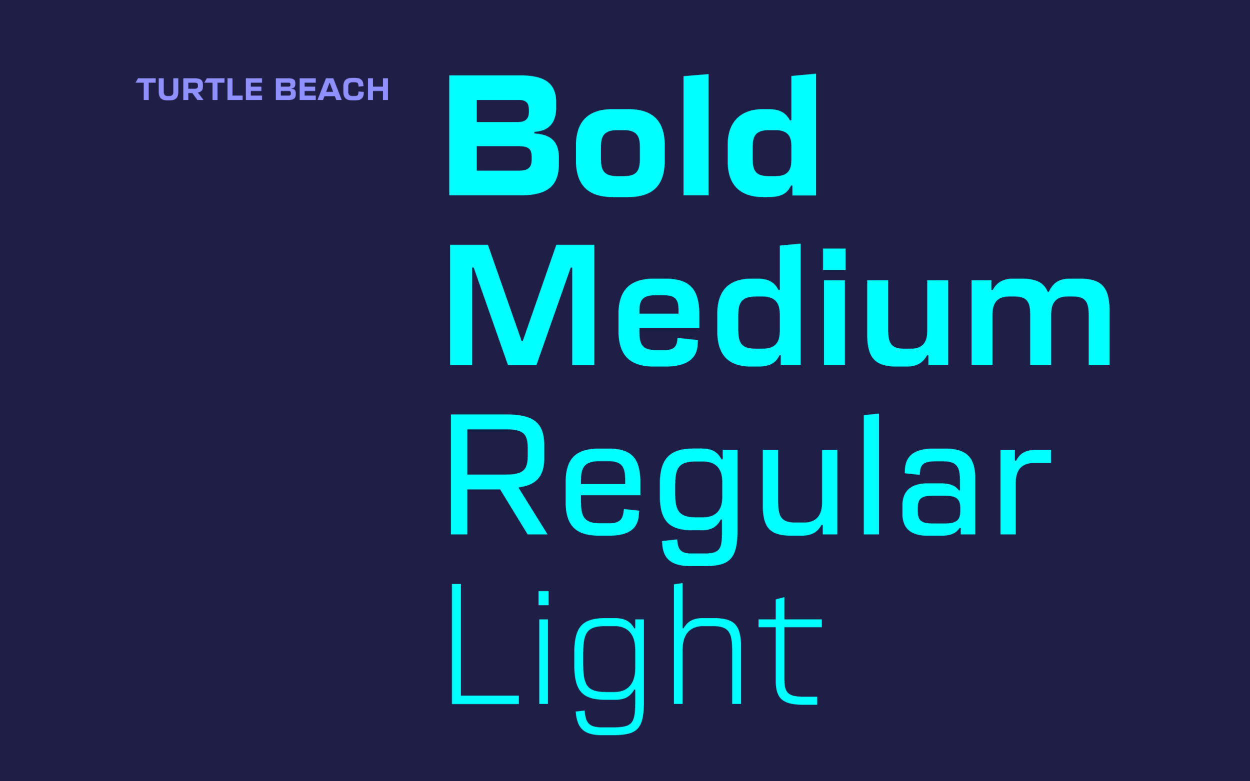 Typemates Turtle Beach bespoke Typeface Custom Font Branding Sans Gaming tec