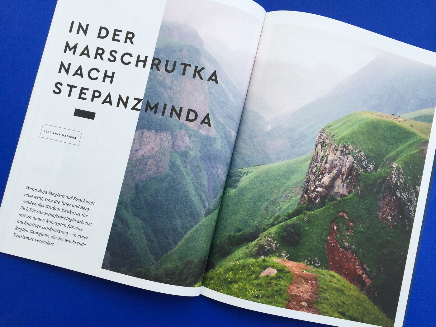 Fonts In Use Volkswagen Stiftung Magazin Corporate Publisher Territory 19 Cera Pro Thesis