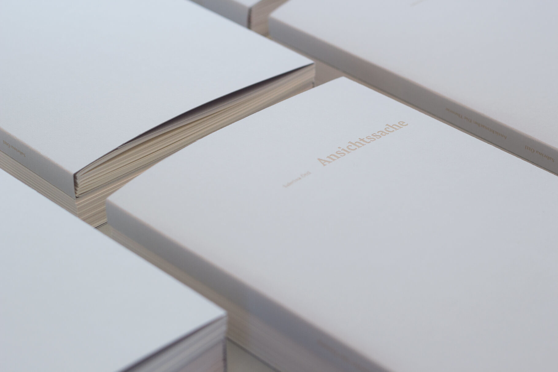 Type Mates Font In Use Sabrina Oettl Bachelor Thesis 02 Pensum Pro