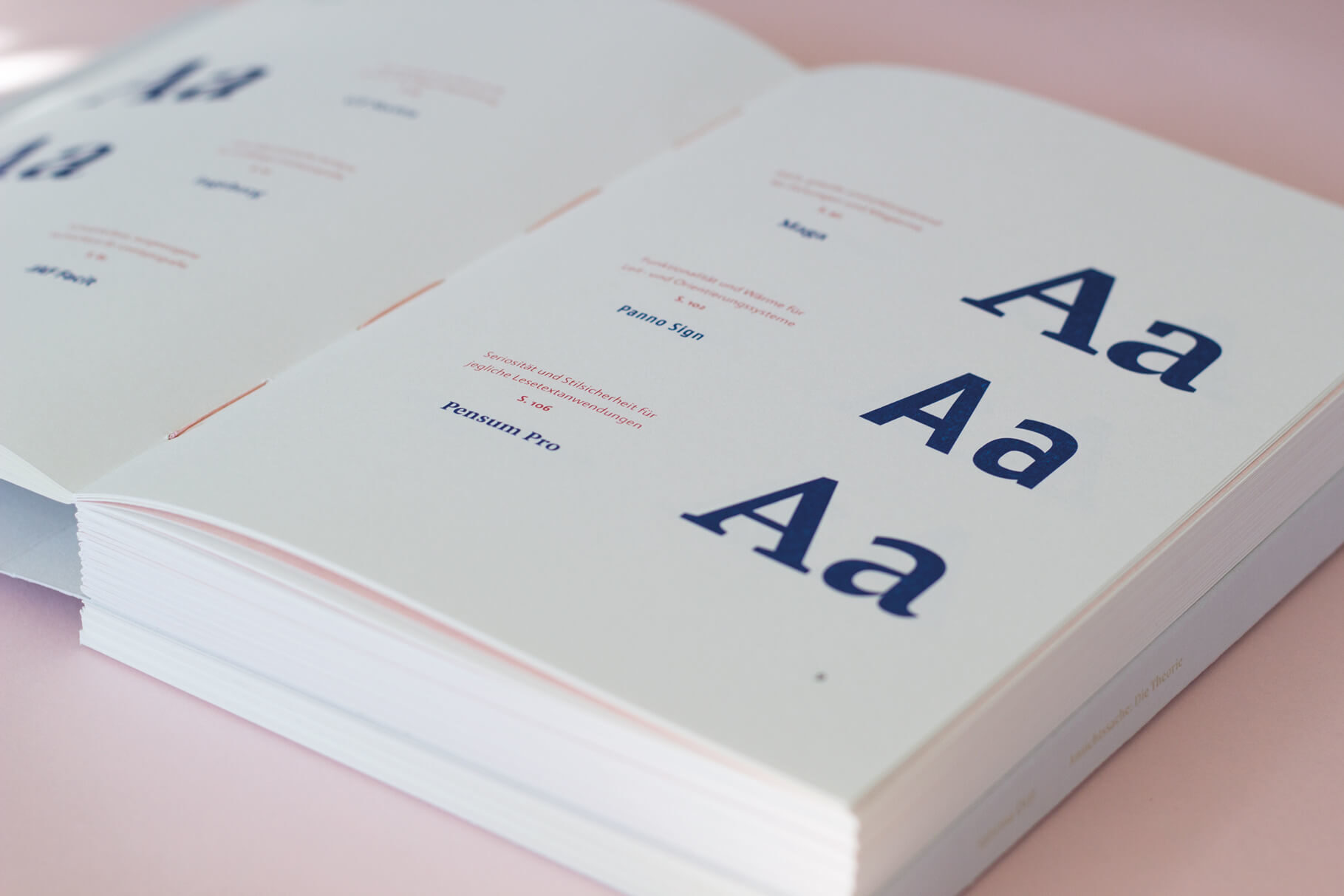 Type Mates Font In Use Sabrina Oettl Bachelor Thesis 06 Pensum Pro