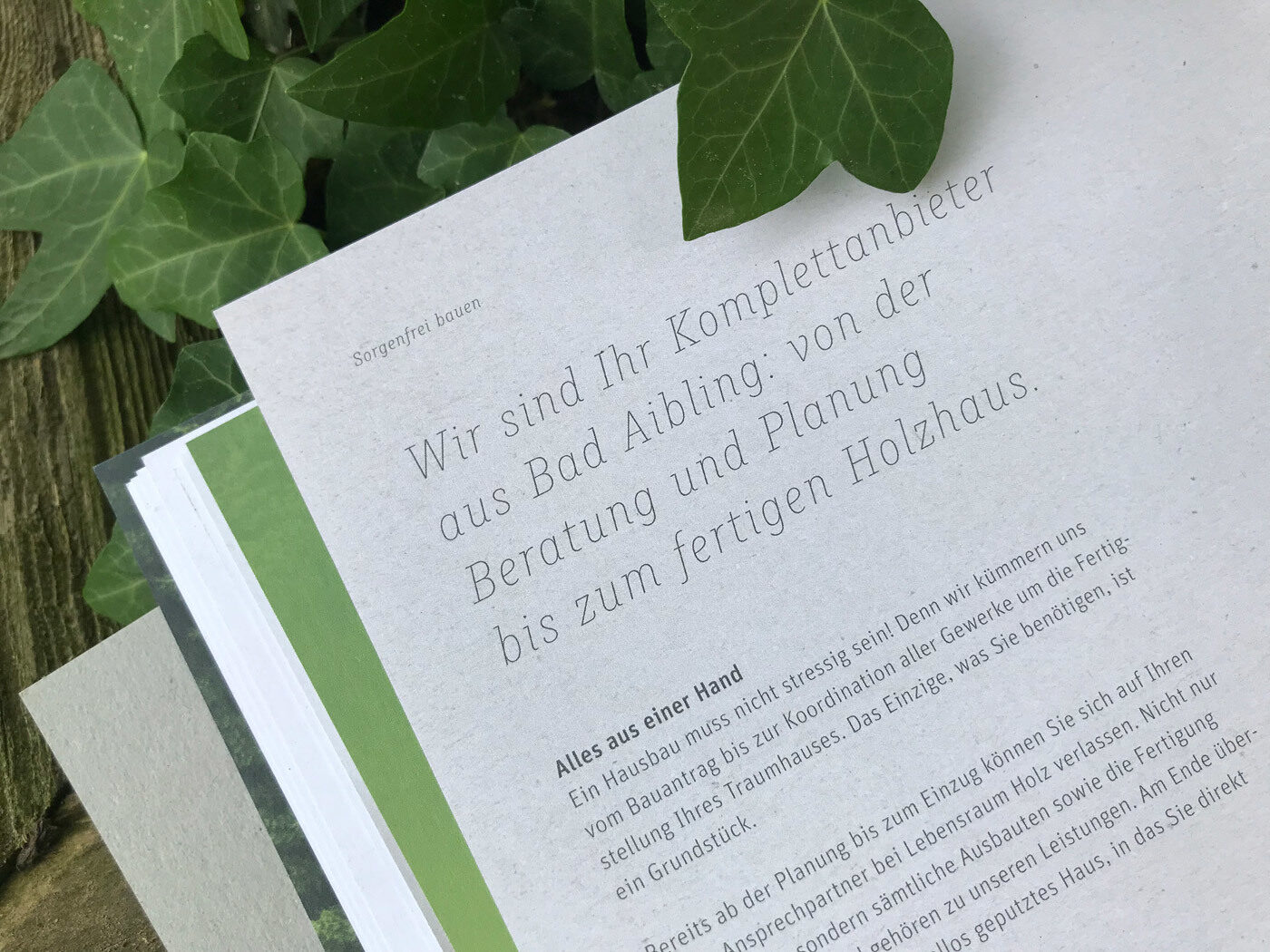 Type Mates Fonts In Use Lebensraum Holz Branding Corporate Im Neuland 06 Muriza