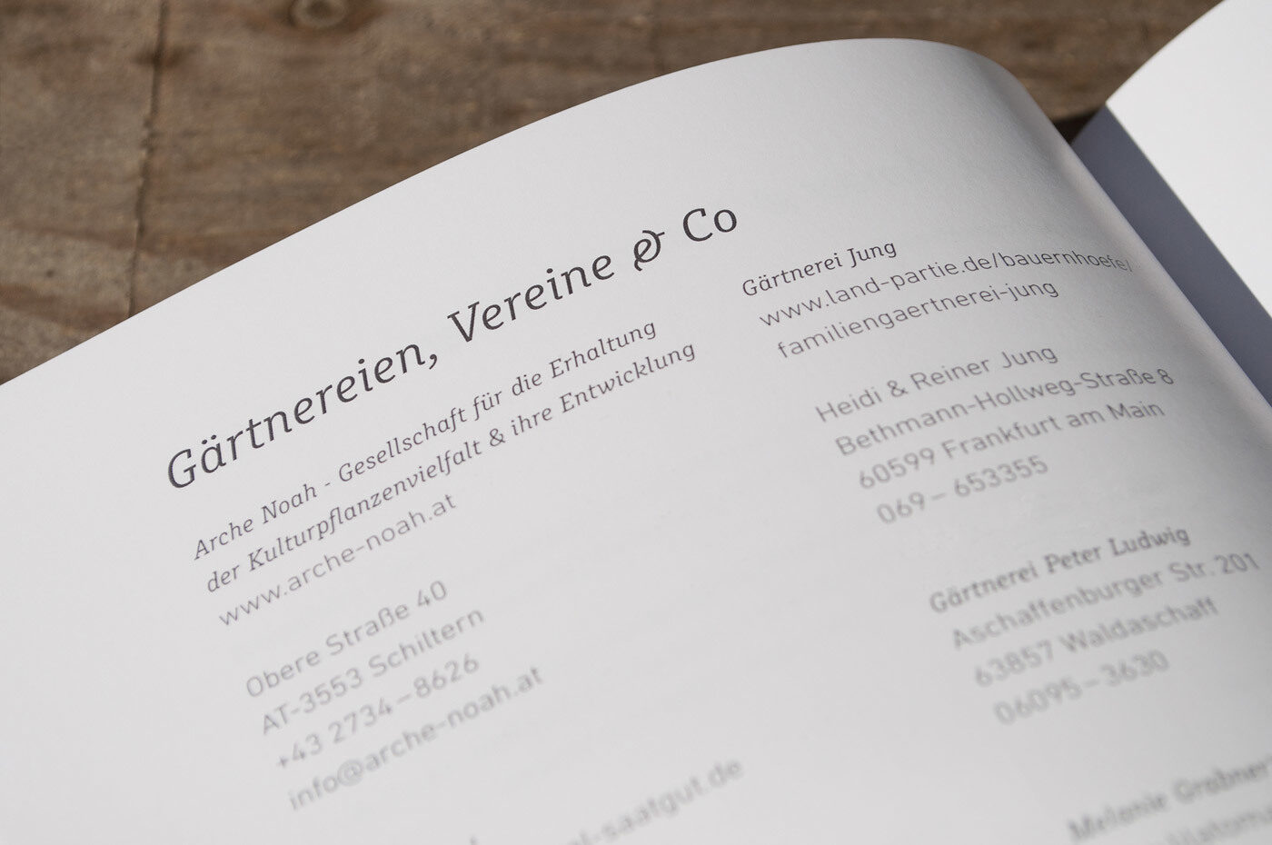 Type Mates Fonts In Use Tomaticon Book Editorial Denise Meinhardt 06 Muriza