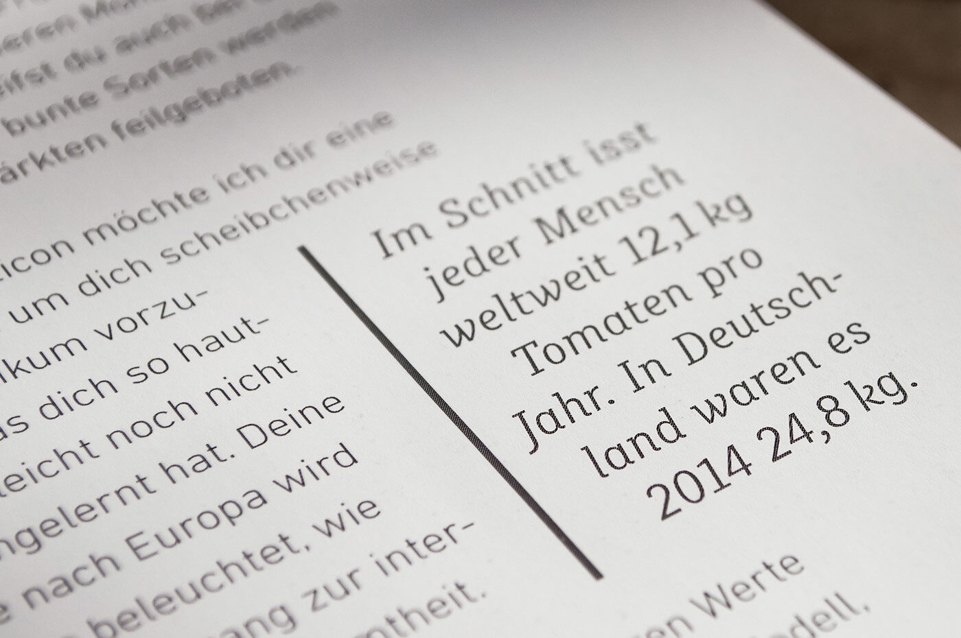 Type Mates Fonts In Use Tomaticon Book Editorial Denise Meinhardt 08 Muriza
