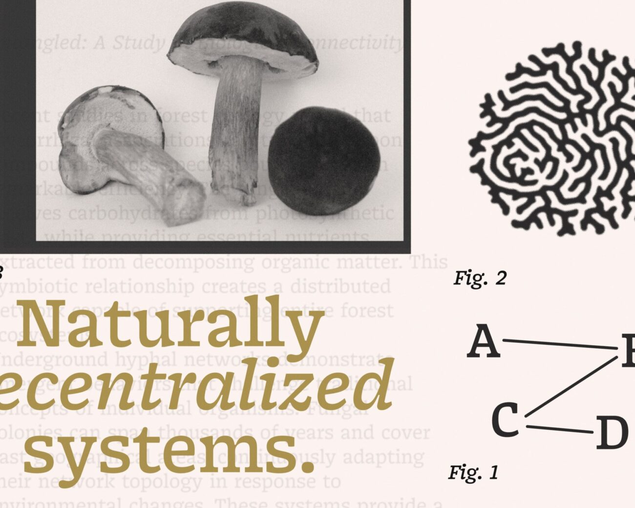 Typemates Runge Triantafyllakos Rasskazov Gregory Text Font Serif Charming Body Cyrillic Greek 2